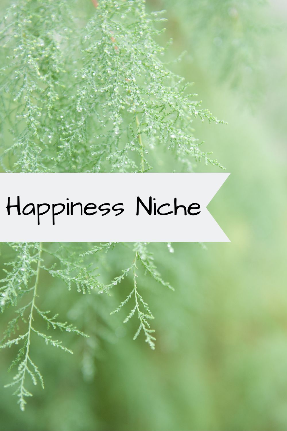 Happiness Niche