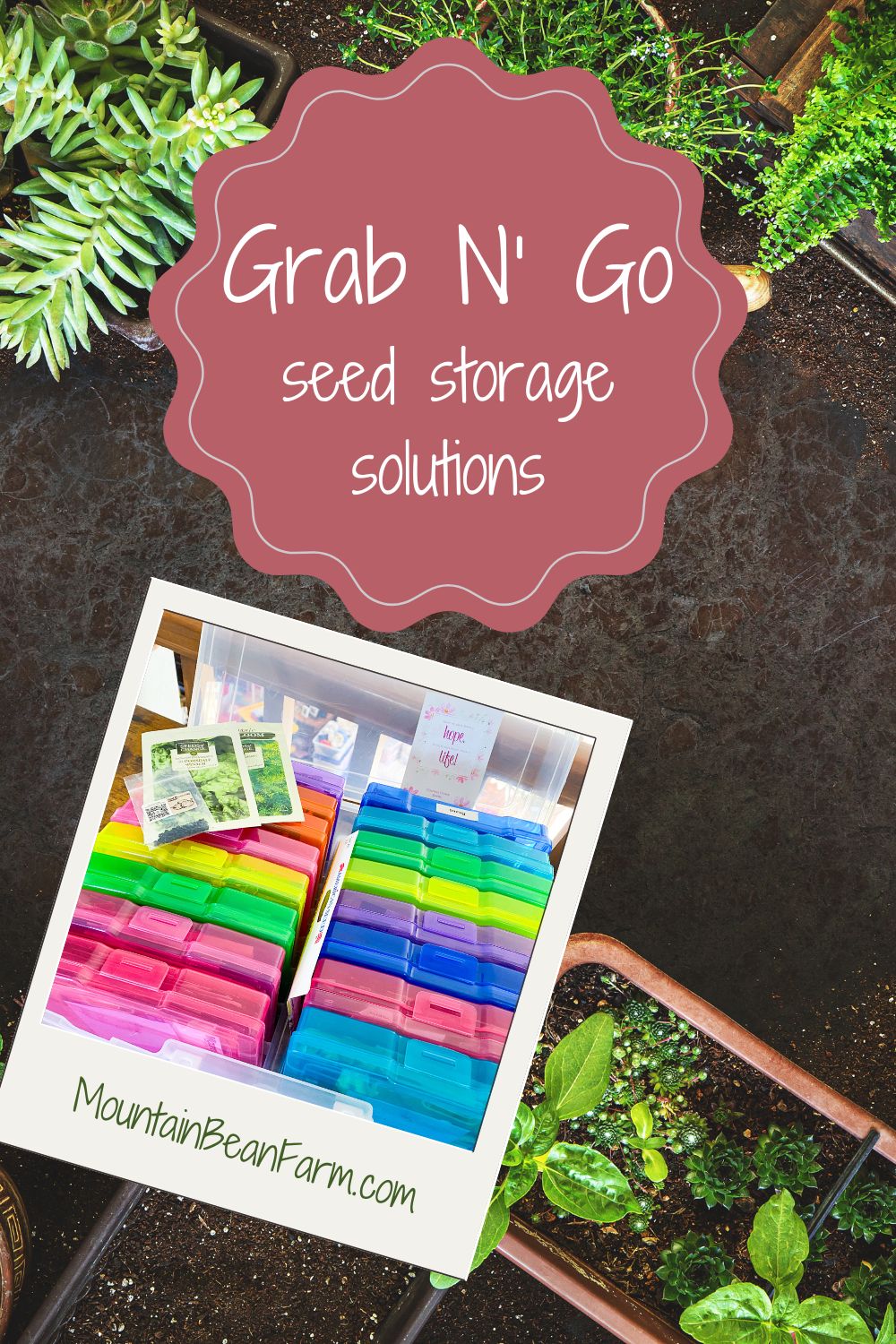 Grab n’ Go Seed Storage
